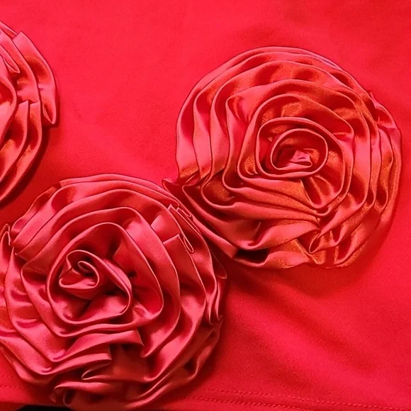 Red flower dress 😍 ♥️ ✨️ - Picture 8 of 11